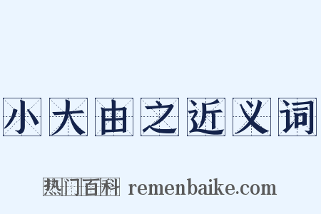 小大由之近义词是什么意思的图片
